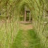 Living Willow Tunnel