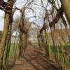 Willow Tunnel Repair 1