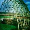 living willow - 3 colour arbour fresh willow 3 rod wale (very strong and th