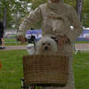 Guru Kaur with Millie-Pup and racing basket
